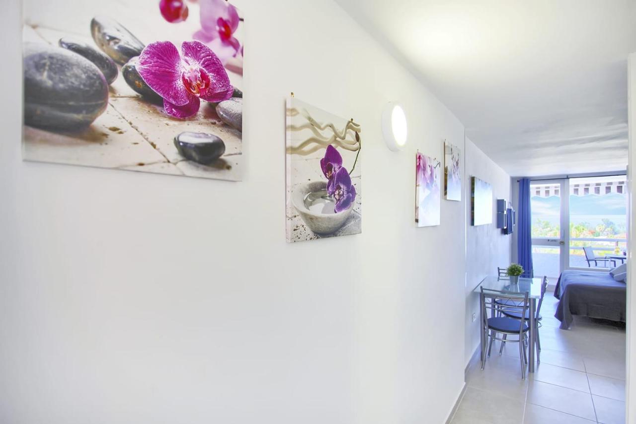 Studio With Sea View In Borinquen Playa Feñabe Zewnętrze zdjęcie